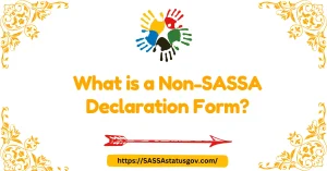 What is a Non-SASSA Declaration Form?